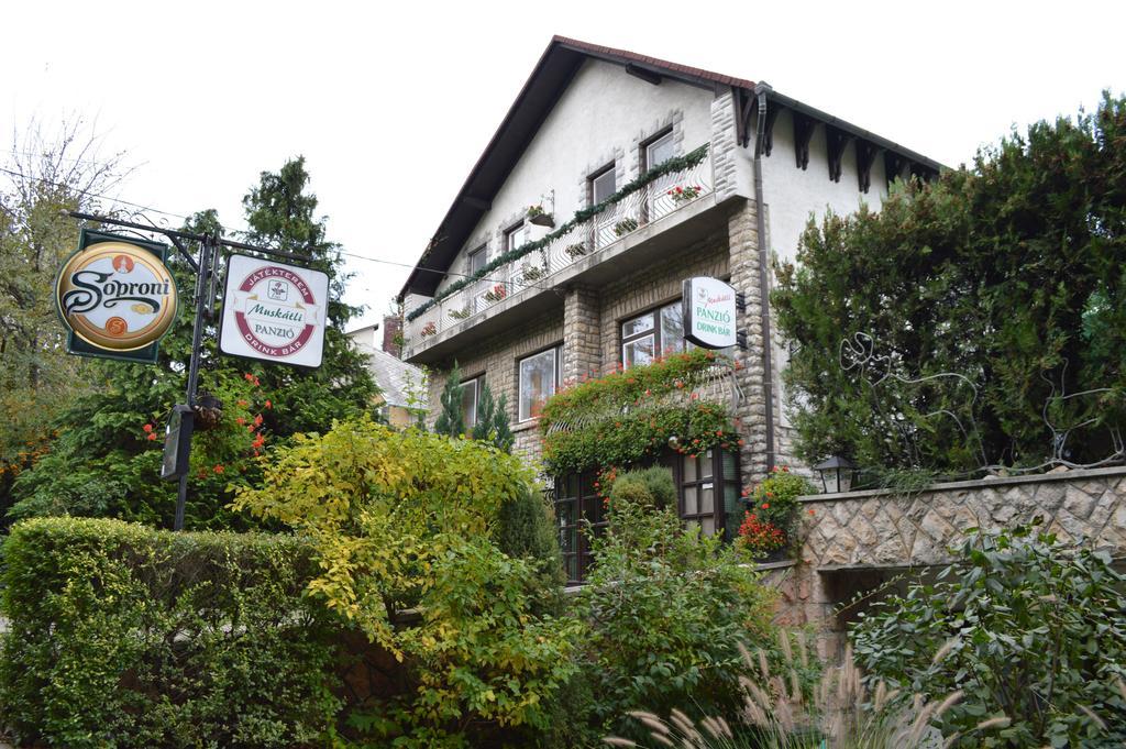 Muskatli Panzio Bed & Breakfast Győr Eksteriør bilde
