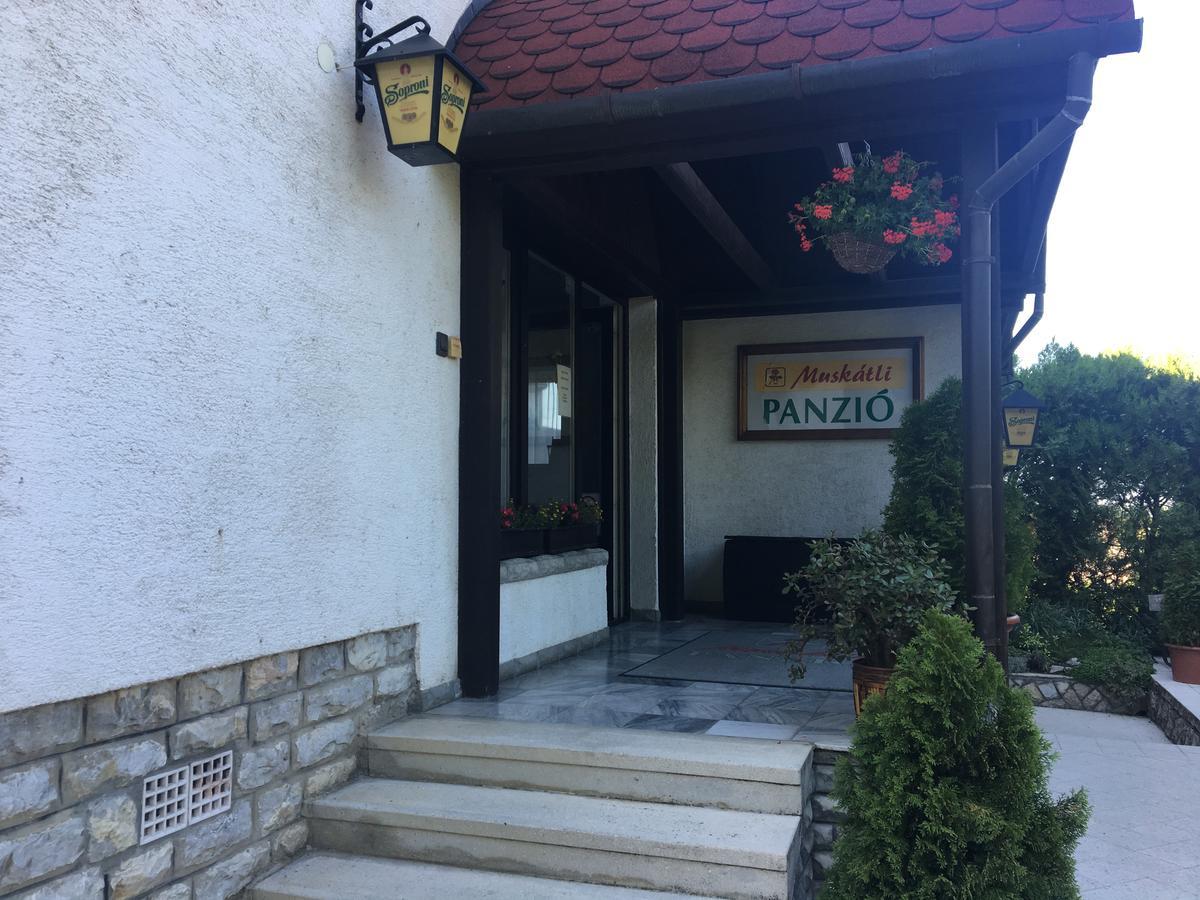 Muskatli Panzio Bed & Breakfast Győr Eksteriør bilde